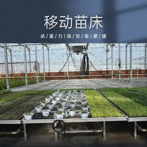 ��Ӧ���������紲-������ֲ�紲������ɫ�ȶ�п��Ƭ��ʵ����
