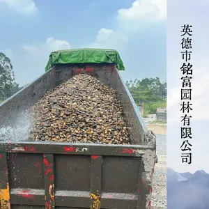 彩色鹅卵石 景观铺路碎石 水处理滤料鹅卵石货源充足
