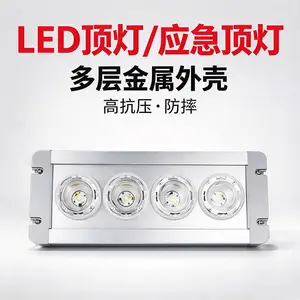 NFC9121应急顶灯12W配电房电厂低顶灯嵌入式NFE9121地沟灯变电站