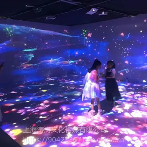 ���ݻ�������ARͶӰ�豸����