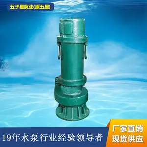 山东五子星排污泵厂家直销现货供应铸铁BQS10-28-3/N防爆矿用排污泵