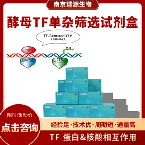 酵母TF单杂筛选试剂盒-酵母单杂筛选-南京瑞源生物