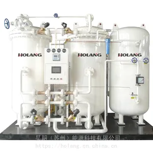 HOLANG NPX系列制氮机 大流量高纯度工业现场制氮设备