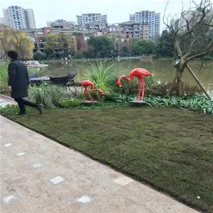 ������㲻��ֵ�������������԰����ֵ���