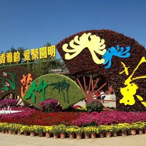 城市广场草花批发地_广场花卉景观_开花草花造型施工