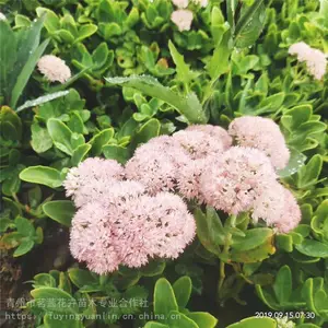 �˱�������ֲ�����˱�����۸�����˱����컨���Ǽ���