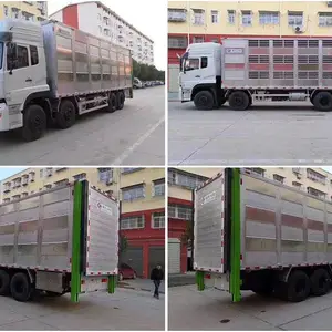 ���� 15����ˮ�� ���س�����ˮ�� ȫ����������������