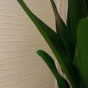 ��Ӧ�߶˾Ƶ��÷����𺣼��� ������ú�����