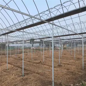 安庆连栋大棚设计安装 农家乐连栋大棚供应 咖啡厅大棚设计 钢结构花卉大棚