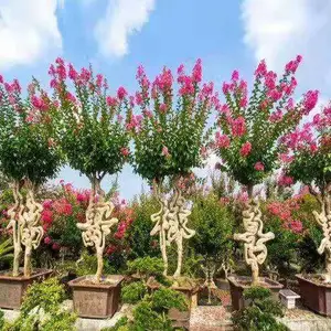 ��ޱ�������ͣ���ޱ�����ָ�»��ϲ���ͣ������ֲ������