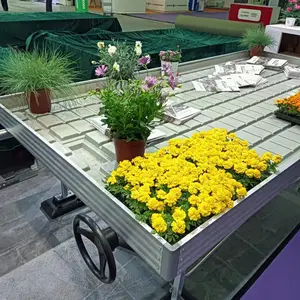 潮汐式移动 固定 苗床均可定尺生产 工作原理及灌溉方式