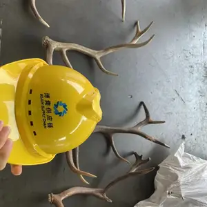 ����˹¹�ǽ��ڱ��ش�����˾,��ҵ���¹��������Ϻ�����