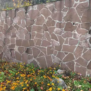 ��Ӧ����ɫĢ��ʯ�Ļ�ʯ ���������ǽ����Ƭʯ