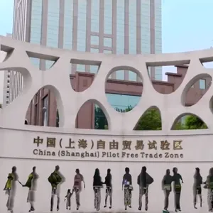 上海专业报关一般要多久 创新服务 兆龙国际物流供应