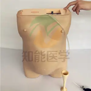 医博 电脑孕妇检查模型 妇科电子孕妇腹部触诊及胎心监护模型 BIX-FW2