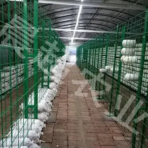 福建网格架-河北晨超-培菌网格架规格
