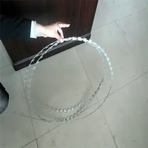 ��˿���� �������� �໤������