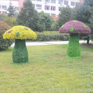 �����Ͼ�Ģ��������ֲ���� �̵���Ʒ�ڼ� ŵ������