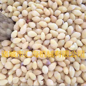 5��������̬���ٶ���5�ִ��ⶡ��̬���ٶ�����ж��ٶ���
