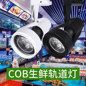 ����par30��� �̳�ˮ���߲��������ʵ� ȫ����cob�����20W