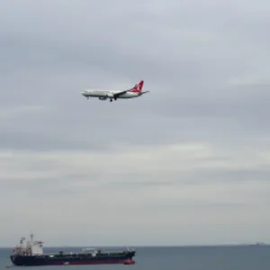 北京美国空派哪家优惠 上海塞亚供应链管理供应