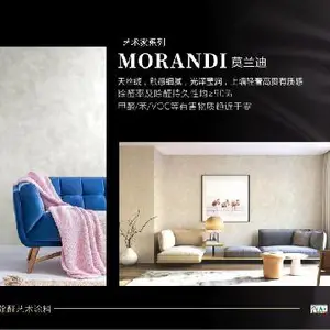 德国进口除醛艺术漆进口品牌有哪些 美阁乐涂料成都供应