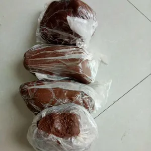 �㽭�л������� �����л�������� ��ϼ��������