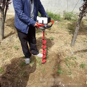 ���ʹ�����ֲ���ڿӻ� ʥ³����ֲ����