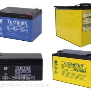*** ����12V24AH������Ʒ������