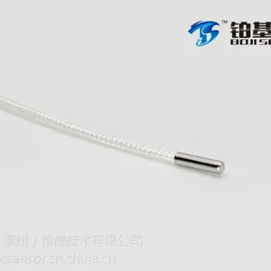 超小型铂电阻温度传感器pt100pt1000温度探头 实体工厂 个性化定制 铂基传感