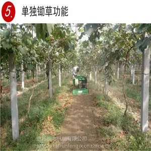ң��ʽ����ʩ�ʻ� �Ĵ�ʽʩ�ʻ���һ������