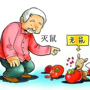 Ϋ������������롢�����ϡ���ɧ��������רҵ***����