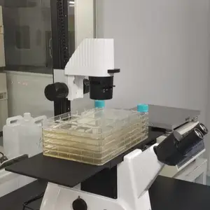 �������ԣ�ϸ������ר�� ������΢���۸� XDS��CF