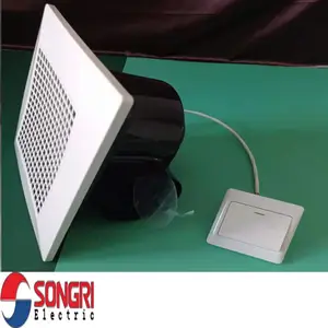 �Ϻ�����SONGRI�����ܵ������� �컨�������ԡ������ ͨ���