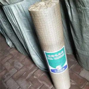 ��ֳ�纸�� �����纸�� ���͵纸�� ���׵纸�� �纸����;