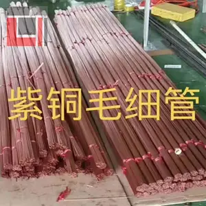 С�ھ���ͭ���ڹ� �����ͭ�ܳ��� �յ���ͭ�̹� ëϸ�缫ͭ��