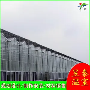 昱泰 智能育苗蔬菜大棚 纹络玻璃连栋温室 YTWSWL4024