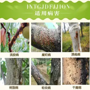 果树腐烂病干腐病流胶病剪锯口涂抹愈合剂