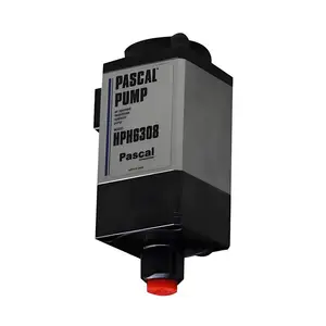 ����PASCAL������