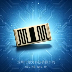 供应SOV硕为科技10G欧姆高阻值贴片电阻
