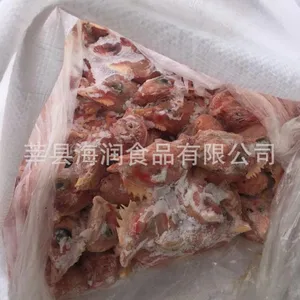 817��ͷ С��ͷ ��ͷ �䶳��ͷ ���ϼ�ͷ