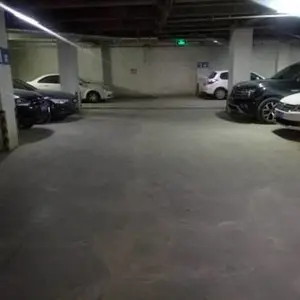 �޲��϶���Ǯһ�� ɽ����ɭ�޲��ϳ���ֱ��