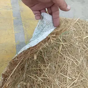 ��ֲ̬��̺-�߱��¹����̻� �ӵ��ӵ̸����̻� ��������̺