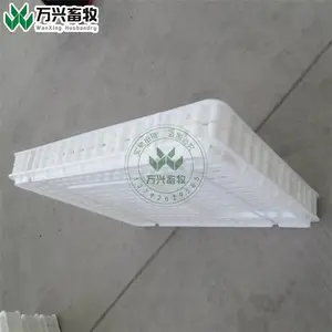 ��Ӧ������������������