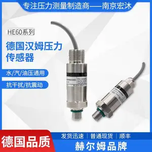 德国汉姆HE60可燃气体压力危险场合矿用Ex dIIBT4防爆压力传感器