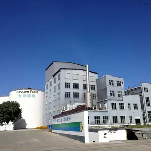 保山九隆酵母有限公司