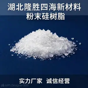 隆胜四海新材料粉末有机硅 粉体硅树脂中间体 复配提升温度