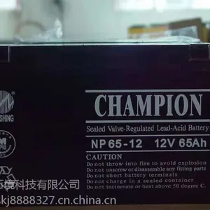 ***����12V200AHǦ�������ʱ�����