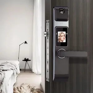 ����ָ�������÷��������ܵ���������������Ӧ�ſ�����ʶ��������