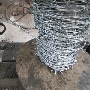 ������������ �ȶ�п����޼ ����������Ƥ����